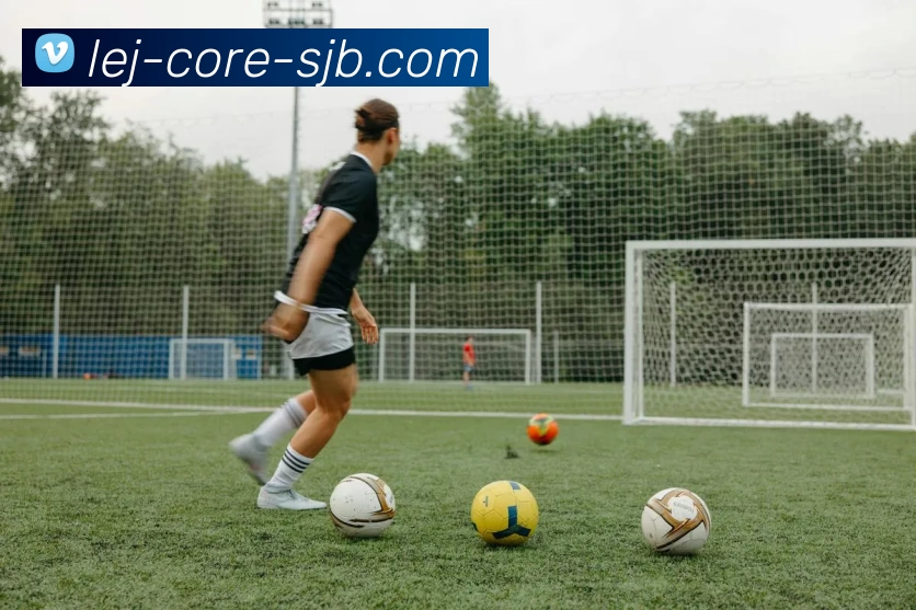 bsport体育，B体育，B体育官方，B体育官方网站平台生态图